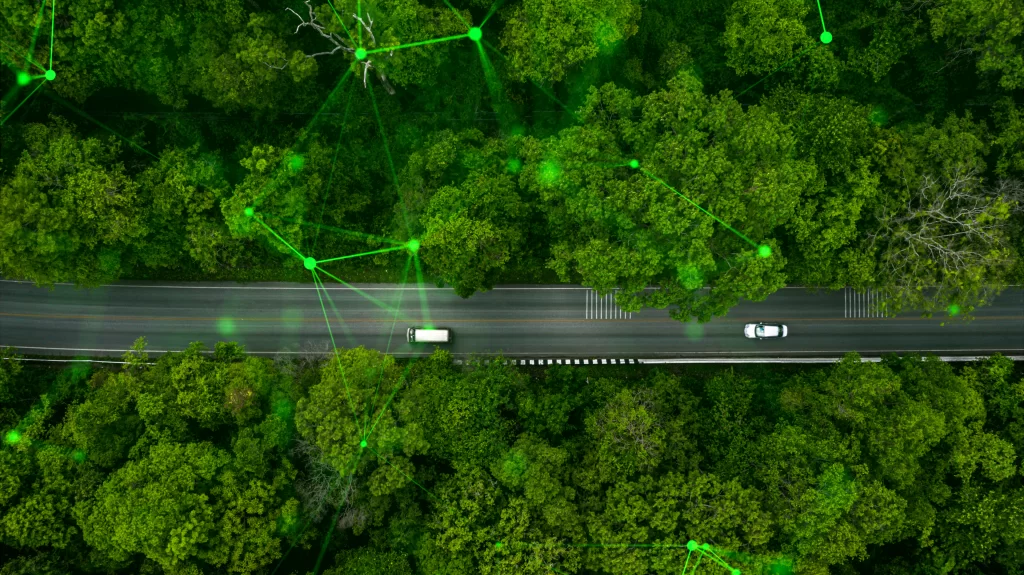 green trees either side road with vehicles on it and green plexus overlayed